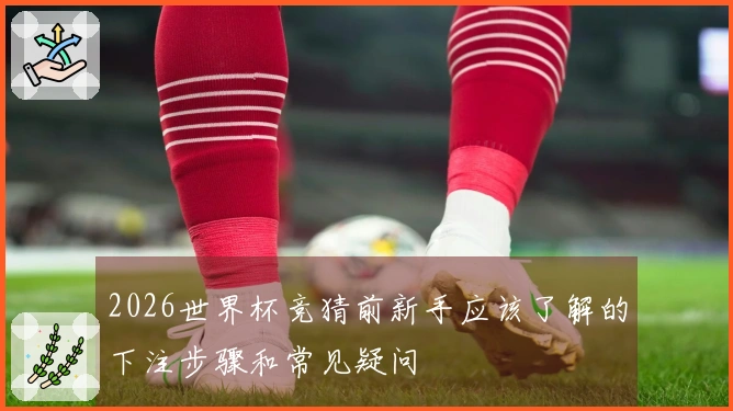 2026世界杯竞猜前新手应该了解的下注步骤和常见疑问
