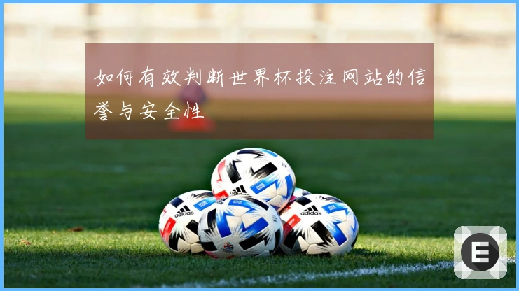 如何有效判断世界杯投注网站的信誉与安全性