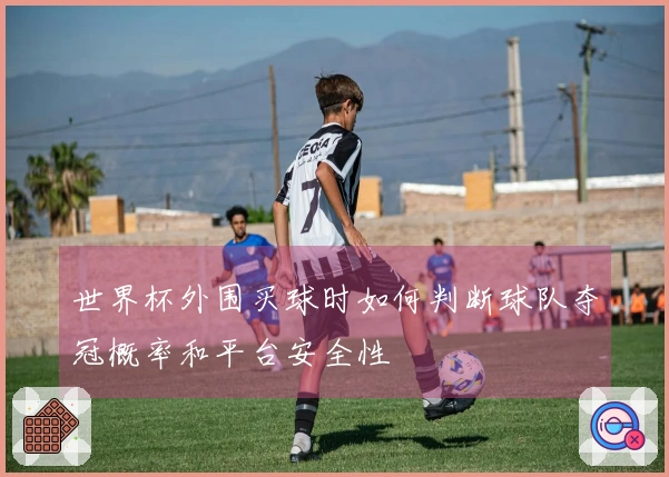 世界杯外围买球时如何判断球队夺冠概率和平台安全性