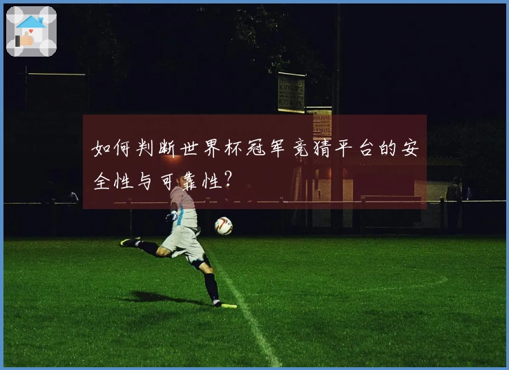 如何判断世界杯冠军竞猜平台的安全性与可靠性？