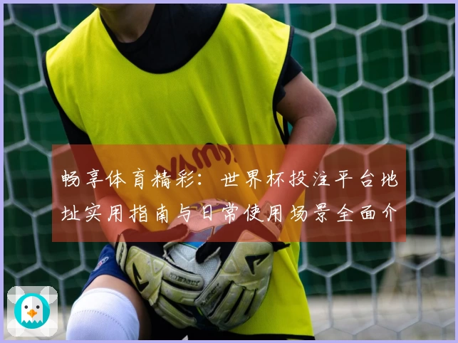 畅享体育精彩：世界杯投注平台地址实用指南与日常使用场景全面介绍