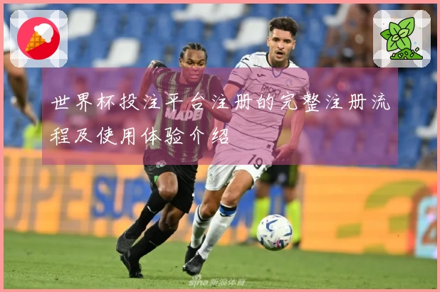 世界杯投注平台注册的完整注册流程及使用体验介绍