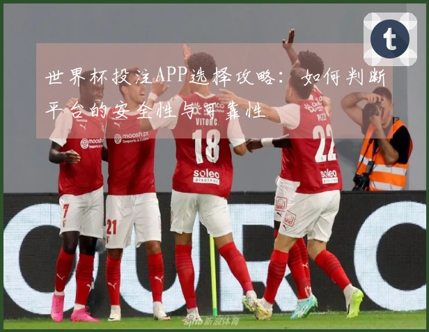 世界杯投注APP选择攻略：如何判断平台的安全性与可靠性