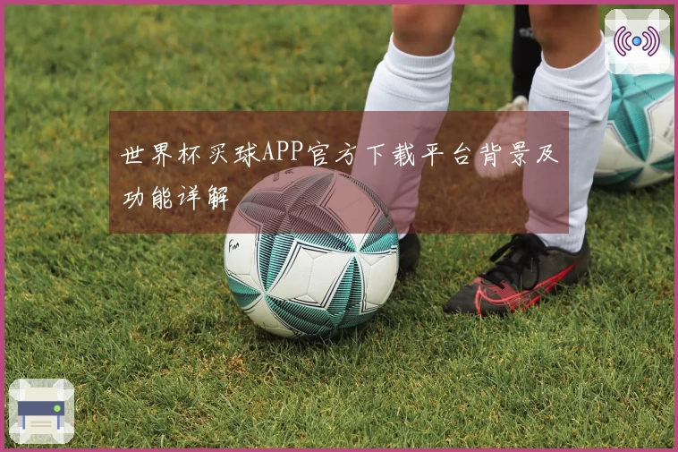 世界杯买球APP官方下载平台背景及功能详解