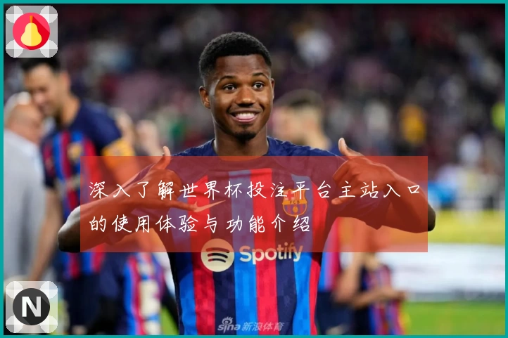 深入了解世界杯投注平台主站入口的使用体验与功能介绍