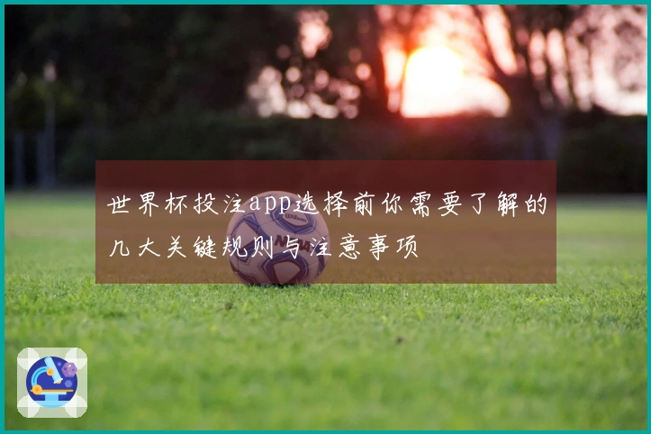 世界杯投注app选择前你需要了解的几大关键规则与注意事项