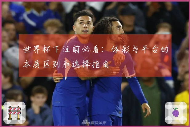 世界杯下注前必看：体彩与平台的本质区别和选择指南