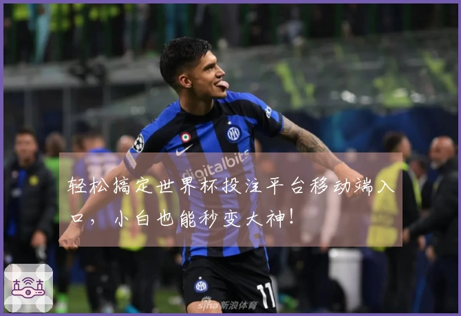 轻松搞定世界杯投注平台移动端入口，小白也能秒变大神！