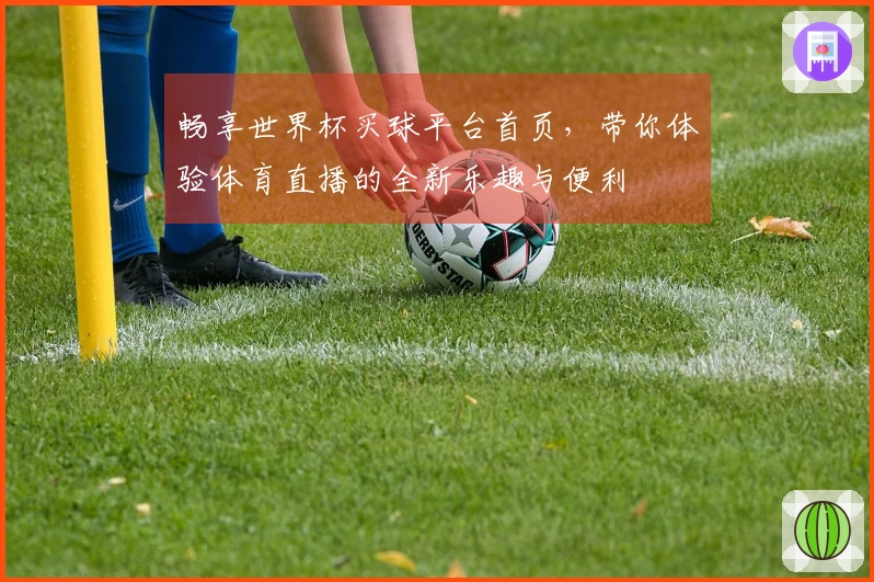 畅享世界杯买球平台首页，带你体验体育直播的全新乐趣与便利