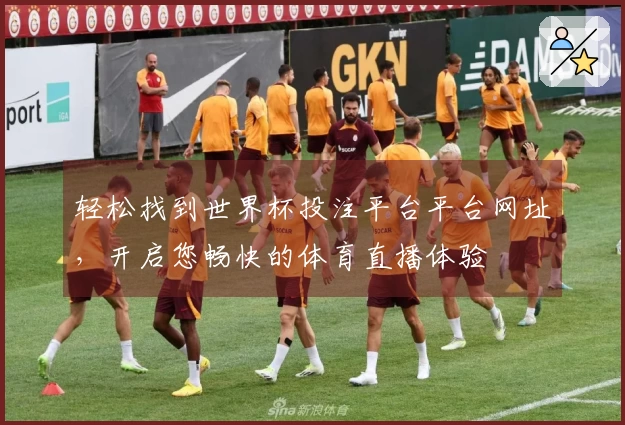 轻松找到世界杯投注平台平台网址，开启您畅快的体育直播体验