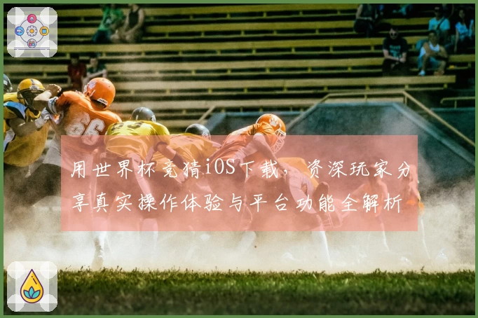 用世界杯竞猜iOS下载，资深玩家分享真实操作体验与平台功能全解析