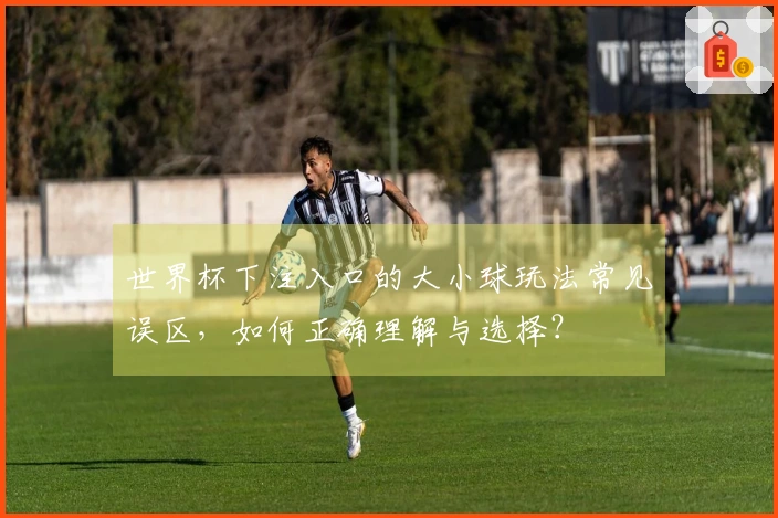 世界杯下注入口的大小球玩法常见误区,如何正确理解与选择?