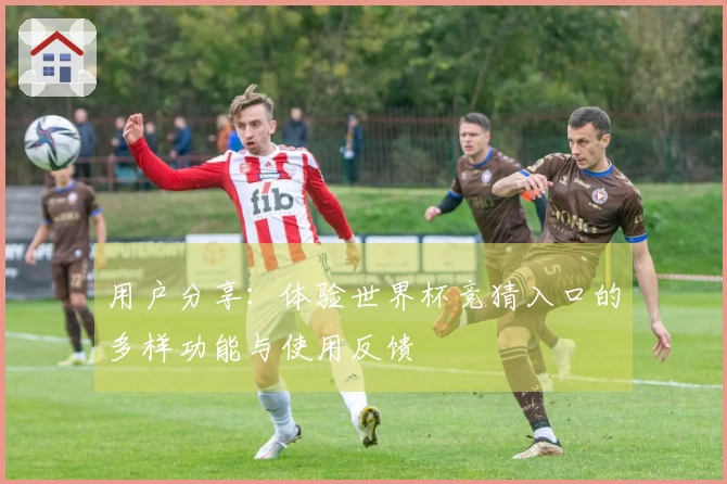 用户分享：体验世界杯竞猜入口的多样功能与使用反馈
