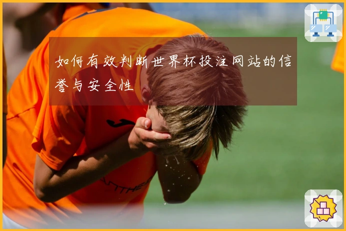 如何有效判断世界杯投注网站的信誉与安全性