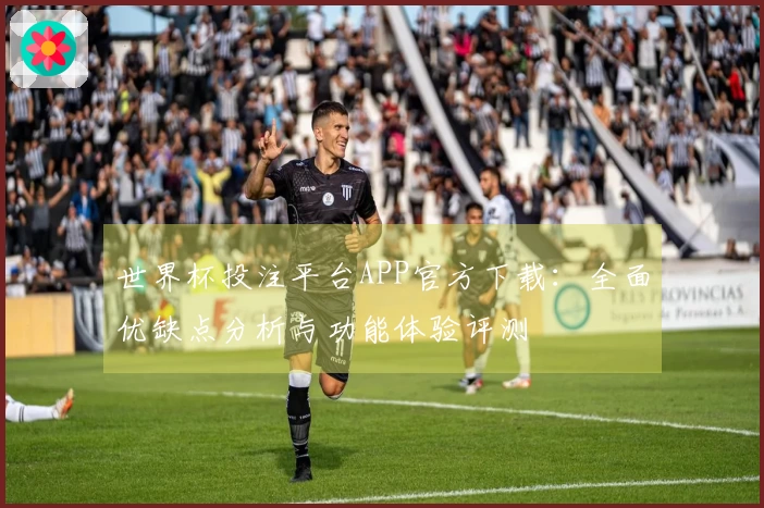 世界杯投注平台APP官方下载：全面优缺点分析与功能体验评测