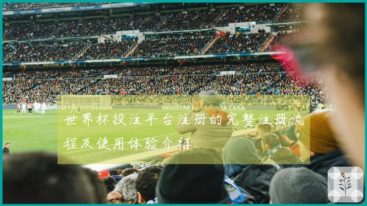世界杯投注平台注册的完整注册流程及使用体验介绍