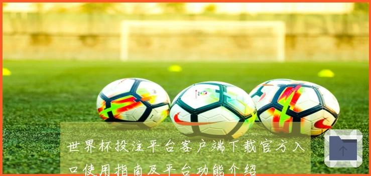 世界杯投注平台客户端下载官方入口使用指南及平台功能介绍
