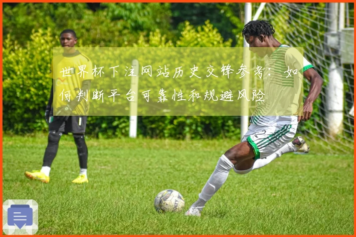 世界杯下注网站历史交锋参考：如何判断平台可靠性和规避风险