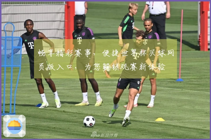 畅享精彩赛事，便捷世界杯买球网页版入口，为您解锁观赛新体验