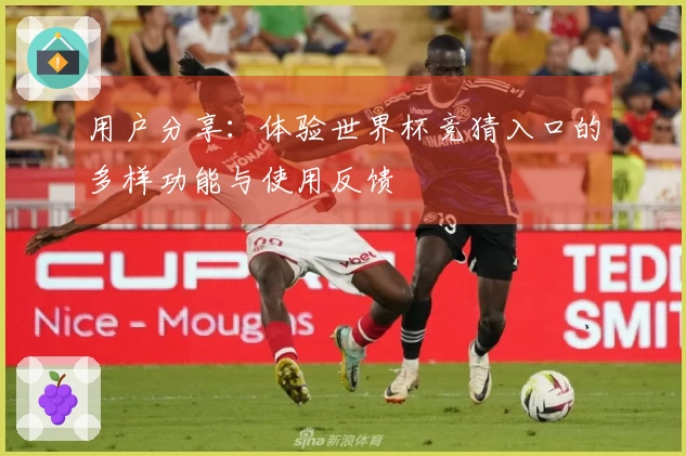 用户分享：体验世界杯竞猜入口的多样功能与使用反馈