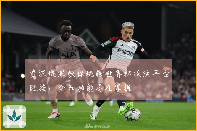资深玩家教你玩转世界杯投注平台链接，全面功能尽在掌握