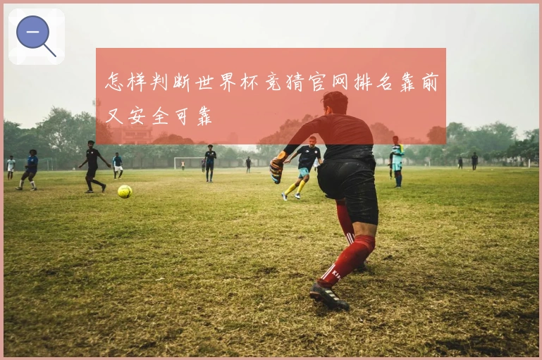 怎样判断世界杯竞猜官网排名靠前又安全可靠