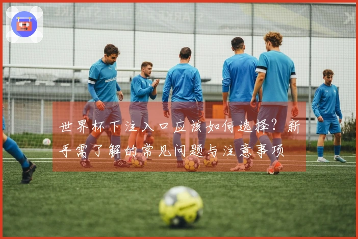 世界杯下注入口应该如何选择？新手需了解的常见问题与注意事项