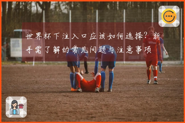 世界杯下注入口应该如何选择?新手需了解的常见问题与注意事项